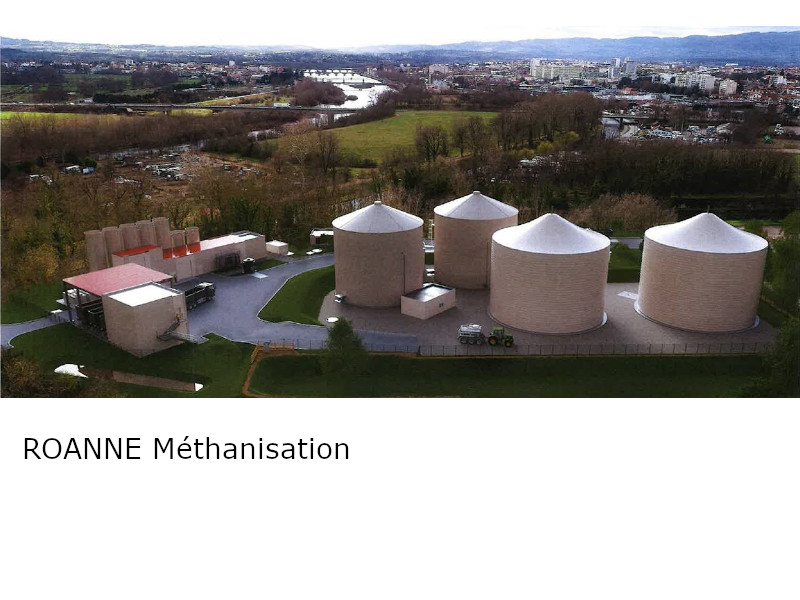 0015_2021_Roanne.jpg