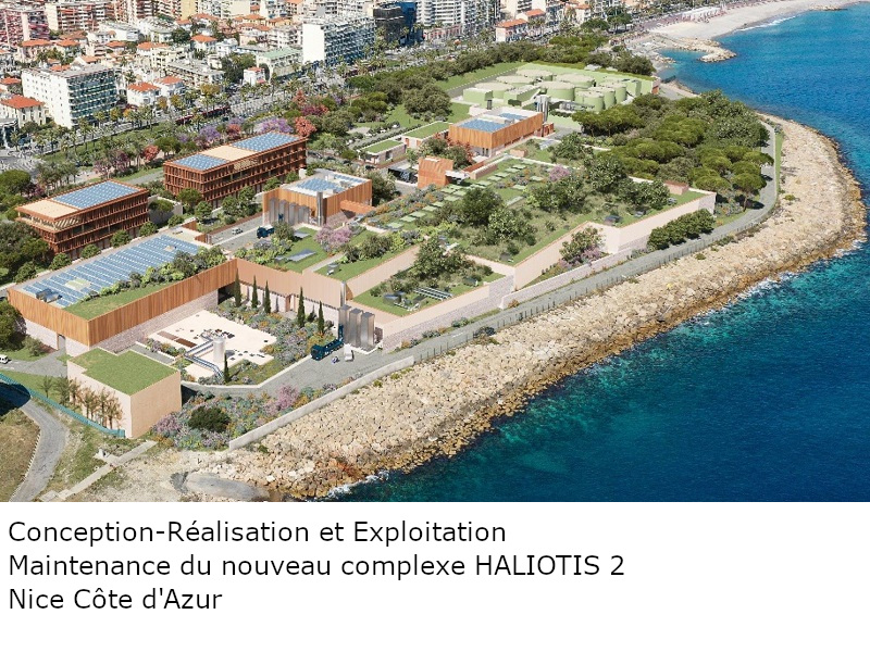 0030_2023_Haliotis.jpg
